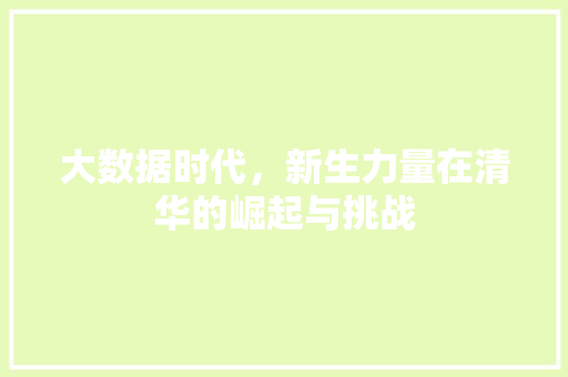 大数据时代，新生力量在清华的崛起与挑战