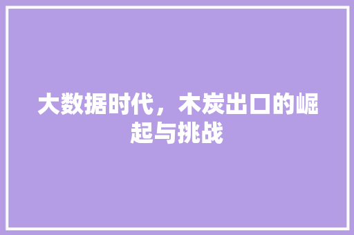 大数据时代，木炭出口的崛起与挑战 服务器/数据库
