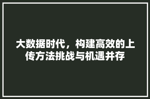 大数据时代，构建高效的上传方法挑战与机遇并存