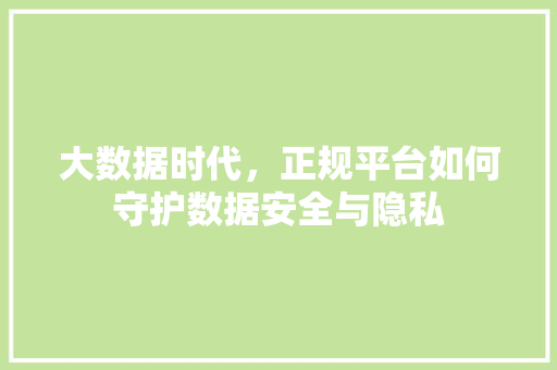 大数据时代，正规平台如何守护数据安全与隐私 Web前端