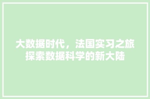 大数据时代，法国实习之旅探索数据科学的新大陆