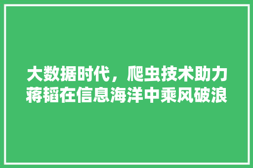 大数据时代，爬虫技术助力蒋韬在信息海洋中乘风破浪