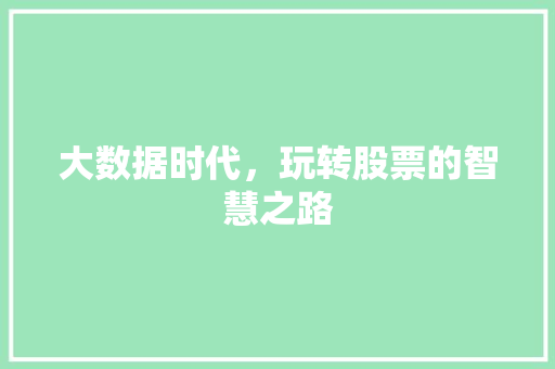 大数据时代，玩转股票的智慧之路