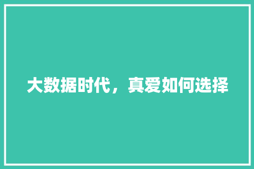 大数据时代，真爱如何选择