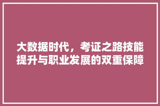 大数据时代，考证之路技能提升与职业发展的双重保障
