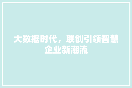 大数据时代，联创引领智慧企业新潮流