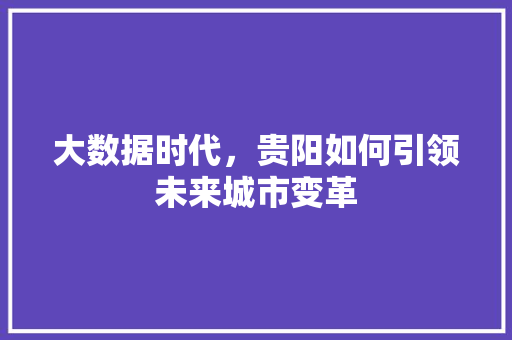 大数据时代，贵阳如何引领未来城市变革