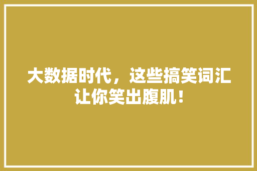 大数据时代，这些搞笑词汇让你笑出腹肌！