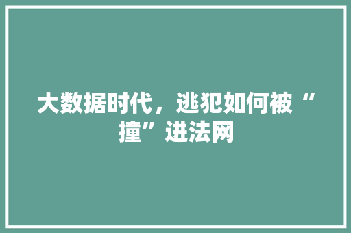 大数据时代，逃犯如何被“撞”进法网