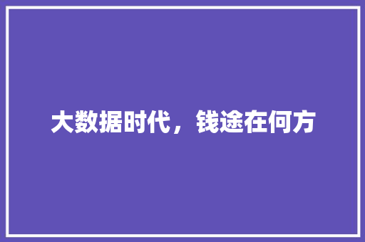 大数据时代，钱途在何方