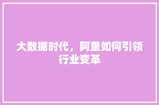 大数据时代，阿里如何引领行业变革