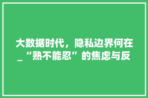 大数据时代，隐私边界何在_“熟不能忍”的焦虑与反思