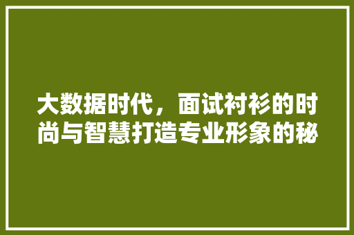 大数据时代，面试衬衫的时尚与智慧打造专业形象的秘密武器