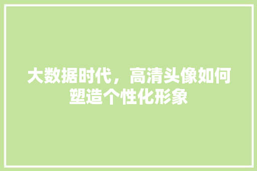 大数据时代，高清头像如何塑造个性化形象