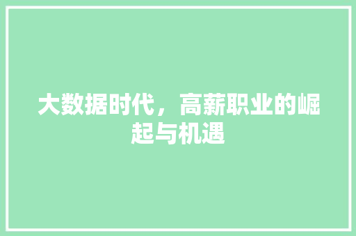 大数据时代，高薪职业的崛起与机遇
