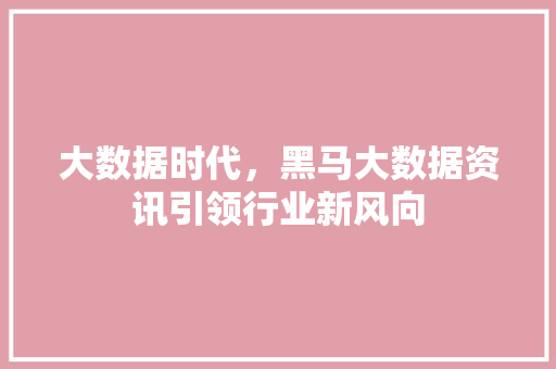 大数据时代，黑马大数据资讯引领行业新风向