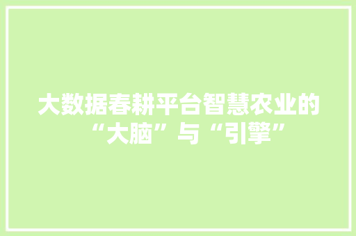 大数据春耕平台智慧农业的“大脑”与“引擎”