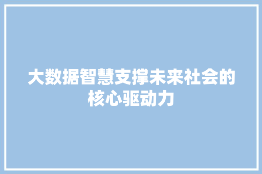 大数据智慧支撑未来社会的核心驱动力