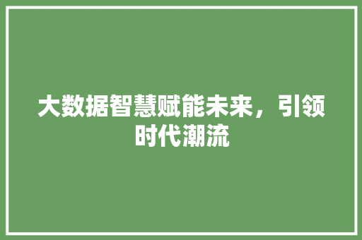 大数据智慧赋能未来，引领时代潮流