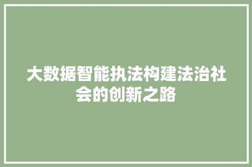 大数据智能执法构建法治社会的创新之路