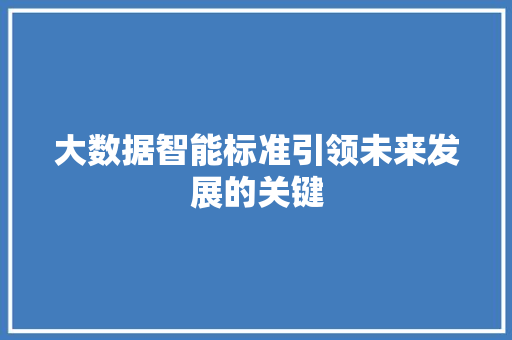 大数据智能标准引领未来发展的关键