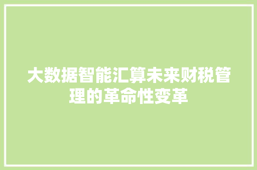 大数据智能汇算未来财税管理的革命性变革