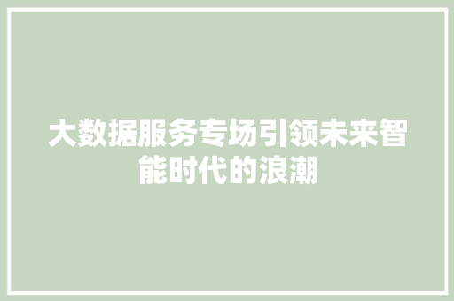 大数据服务专场引领未来智能时代的浪潮