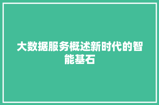 大数据服务概述新时代的智能基石