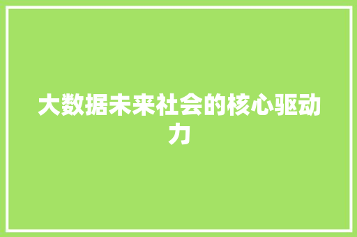 大数据未来社会的核心驱动力