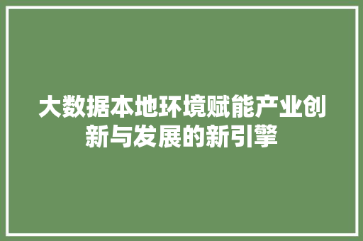 大数据本地环境赋能产业创新与发展的新引擎