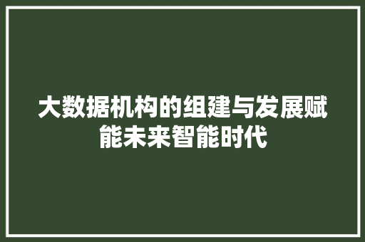 大数据机构的组建与发展赋能未来智能时代