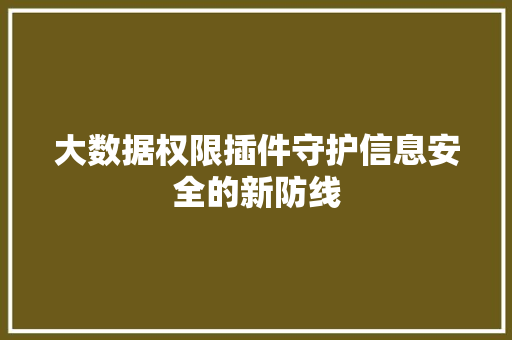 大数据权限插件守护信息安全的新防线