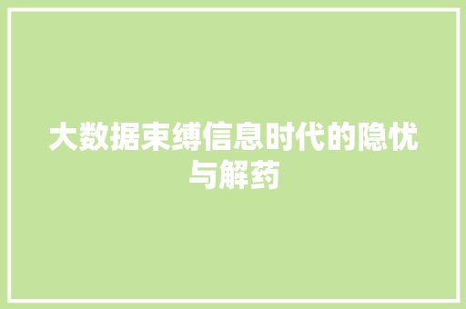 大数据束缚信息时代的隐忧与解药