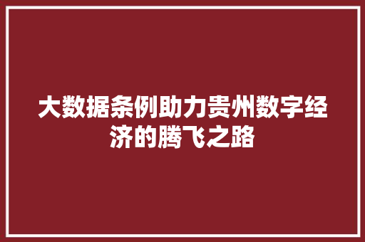 大数据条例助力贵州数字经济的腾飞之路