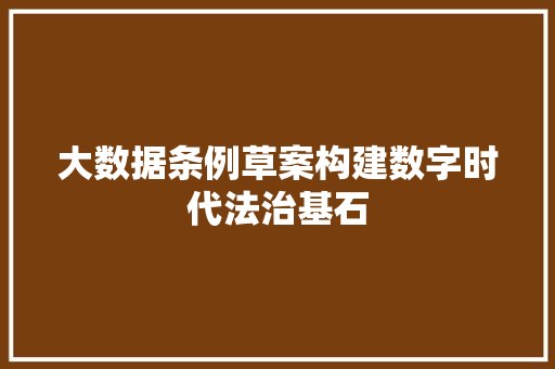 大数据条例草案构建数字时代法治基石