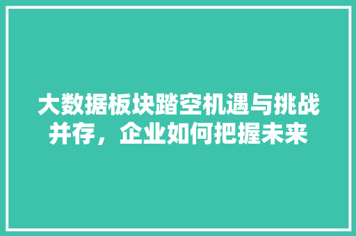 大数据板块踏空机遇与挑战并存，企业如何把握未来 Web前端