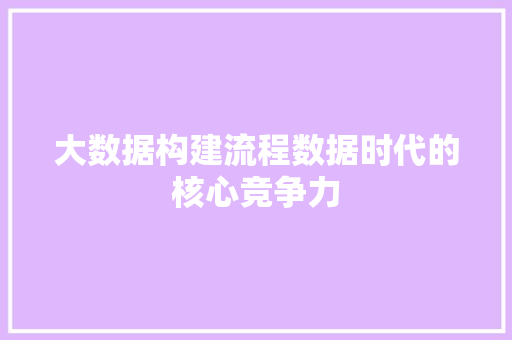 大数据构建流程数据时代的核心竞争力 WordPress教程