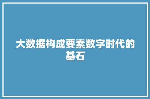 大数据构成要素数字时代的基石