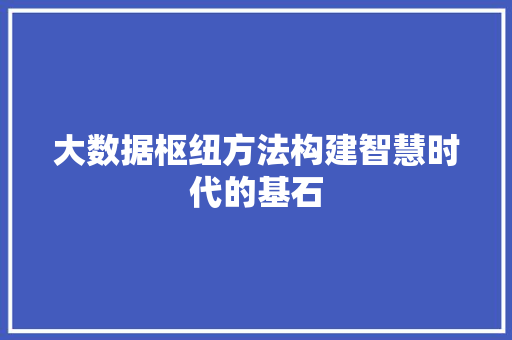 大数据枢纽方法构建智慧时代的基石 建站教程
