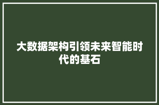 大数据架构引领未来智能时代的基石