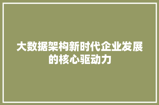大数据架构新时代企业发展的核心驱动力