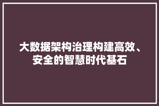 大数据架构治理构建高效、安全的智慧时代基石