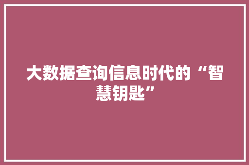 大数据查询信息时代的“智慧钥匙”