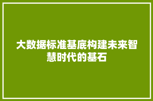 大数据标准基底构建未来智慧时代的基石