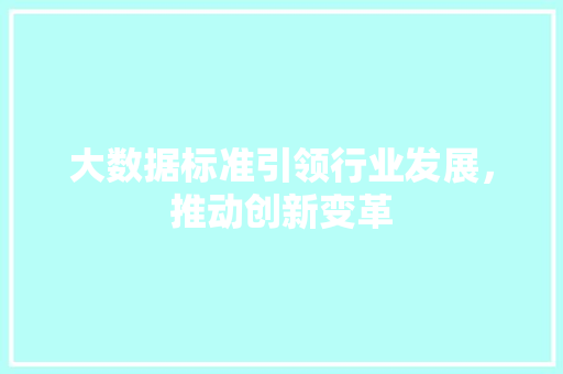 大数据标准引领行业发展，推动创新变革