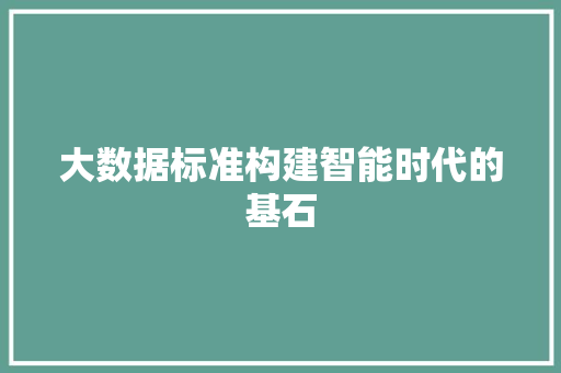 大数据标准构建智能时代的基石