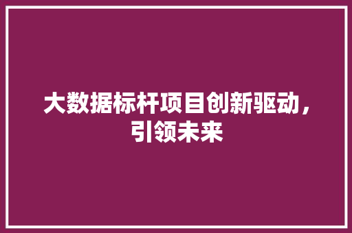 大数据标杆项目创新驱动，引领未来