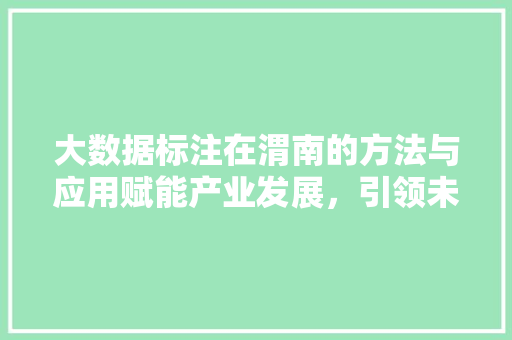 大数据标注在渭南的方法与应用赋能产业发展，引领未来潮流
