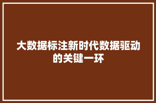大数据标注新时代数据驱动的关键一环 WordPress教程