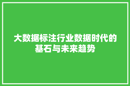 大数据标注行业数据时代的基石与未来趋势